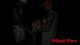 دعونا اللعنة في أوركا في منتصف الشارع