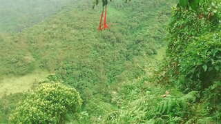 Κολομβίας στο Δάσος για να Δώσει Γλώσσα και Πατήσαμε με Αγνώστους Σεξ σε Αντάλλαγμα Για την Οικονομική Βοήθεια.