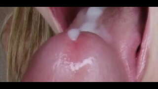 Fixation:ຊ້າ Hypno ຕົ້ນສະບັບວ້ຄູຝຶກ ໓