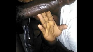 Tanghali ulo off ang sopa